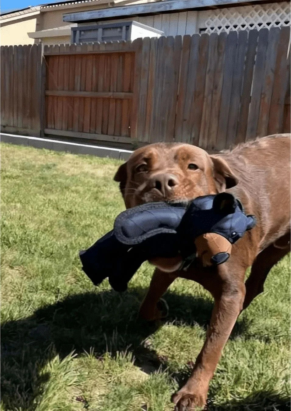 Unbreaka Bear - 2025 New Unbreakable Bear Dog Toy, Indestructa Bear, Indestructible Bear Dog Toy, Indestructible Plush Toy for Heavy Chewer, Indestructible Squeaky Dog Toy to Keep Them Busy